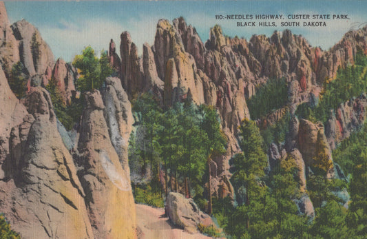 Black Hills, South Dakota