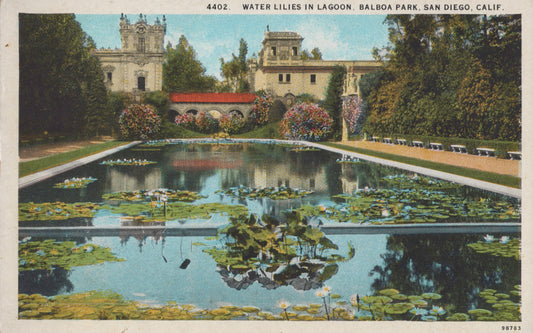 Balboa Park Water Lilies, San Diego