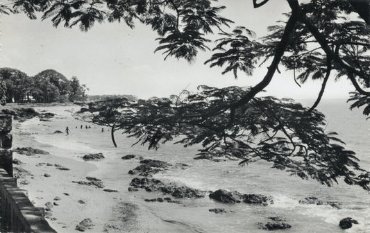 Conakry Beach, Guinea