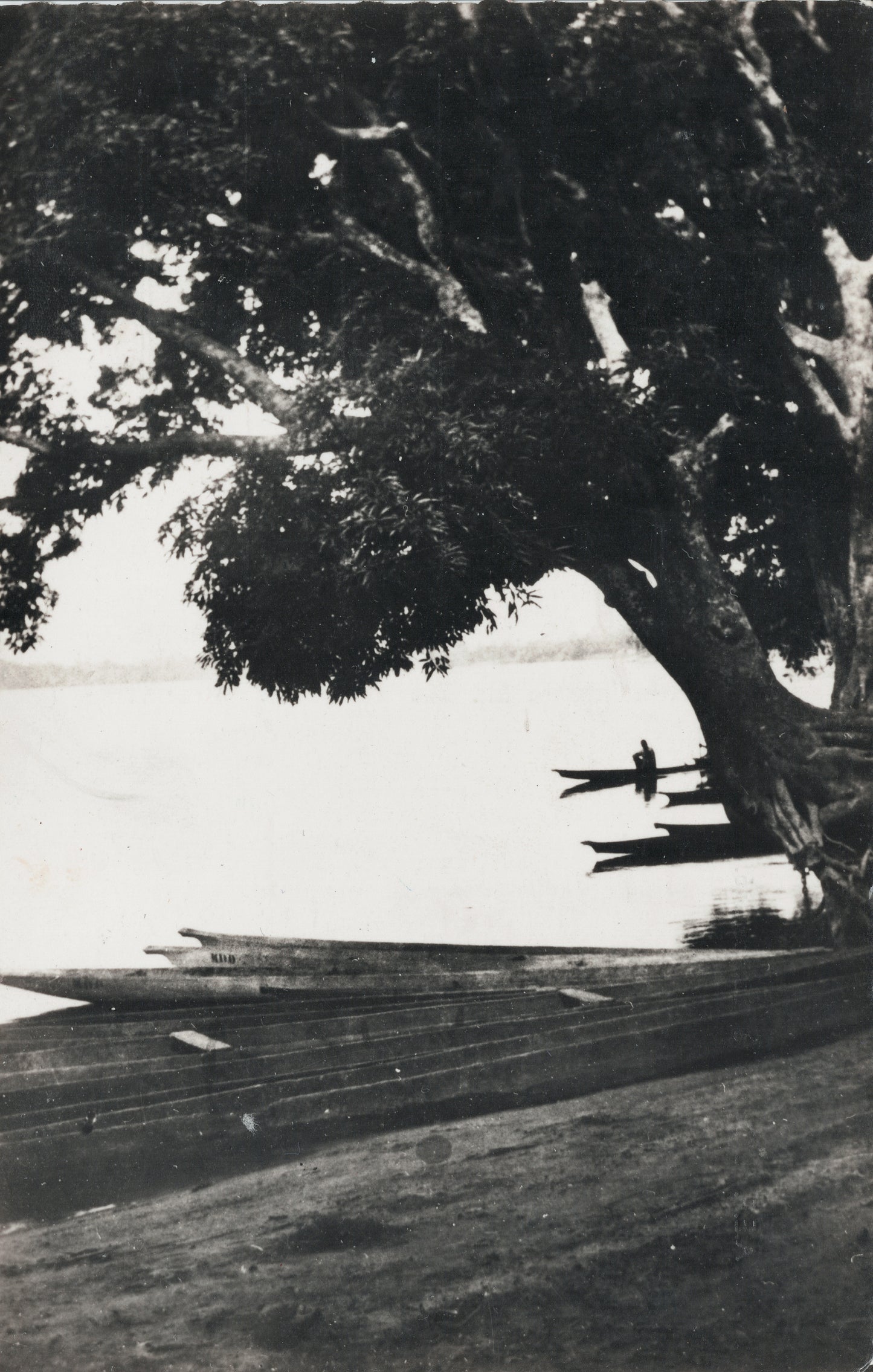 Ogooué River to Lambaréné, Gabon