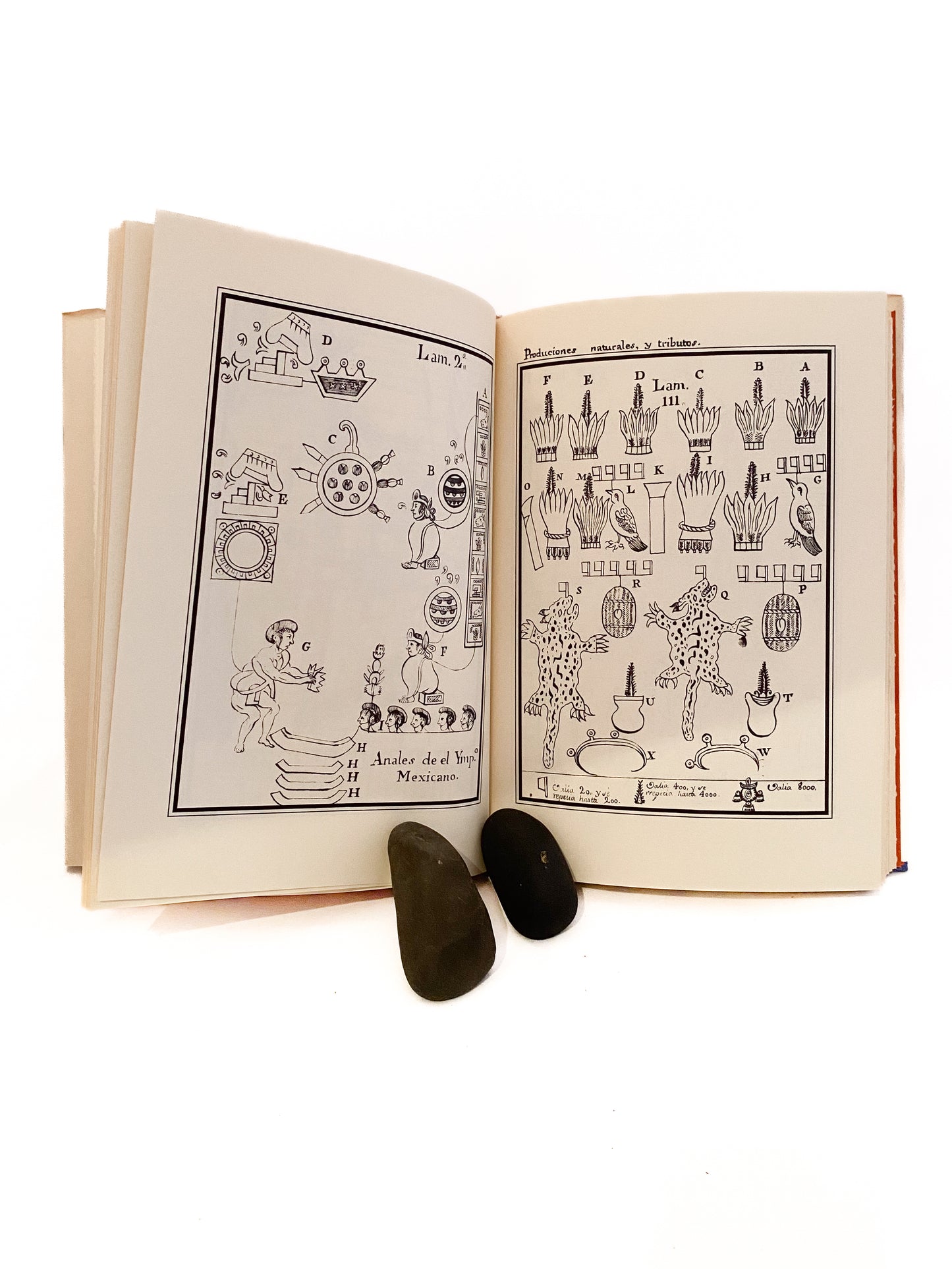 The Kingdom of New Spain, O'Crouley and Galvin