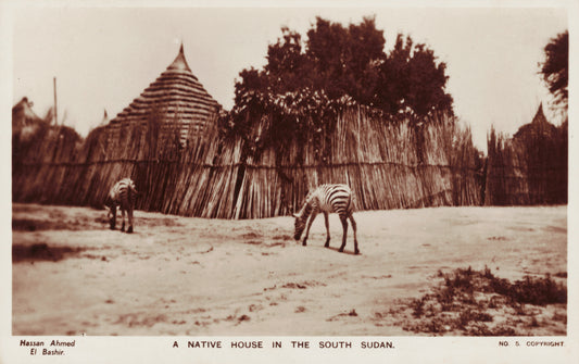Home in South Sudan