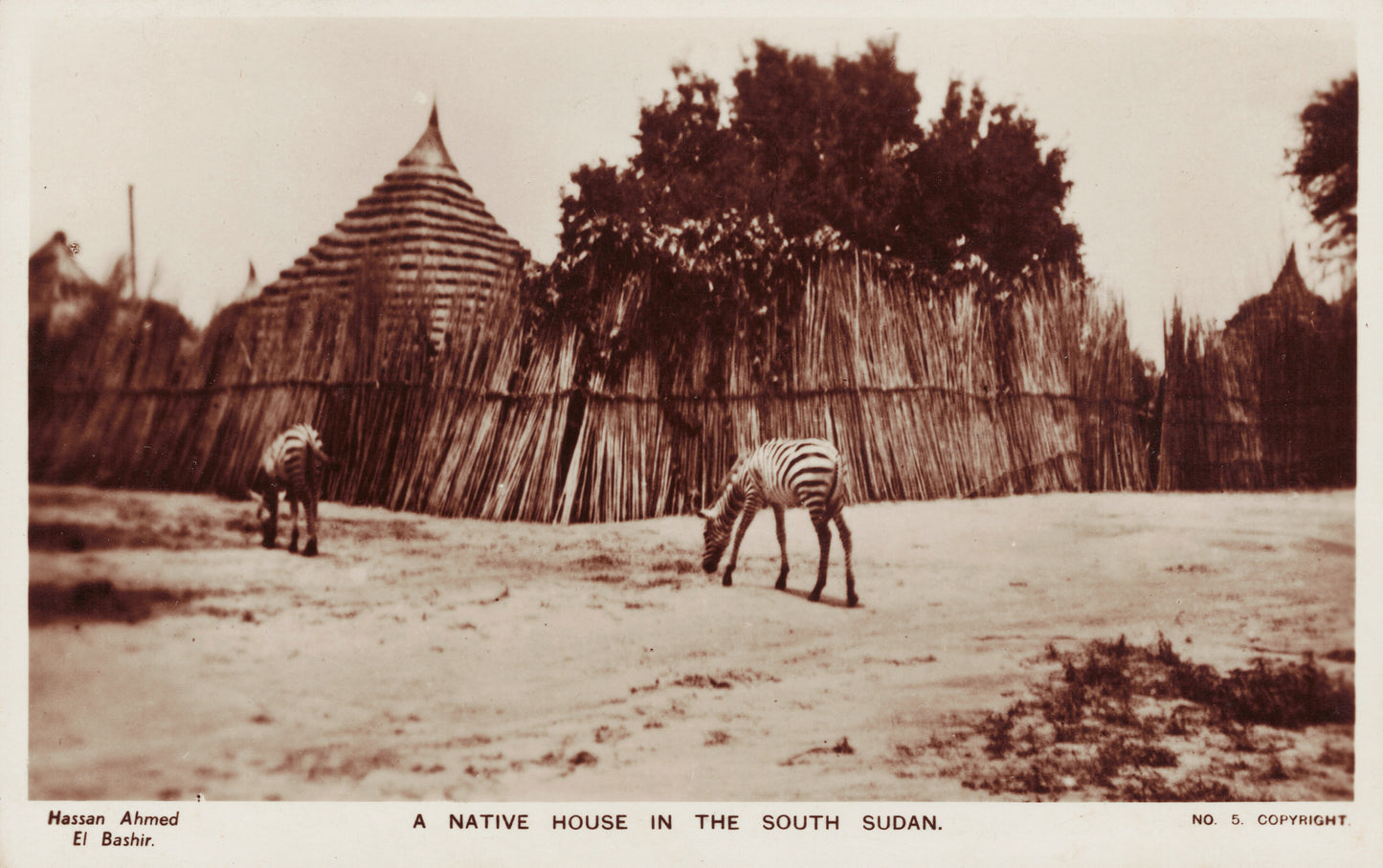 Home in South Sudan