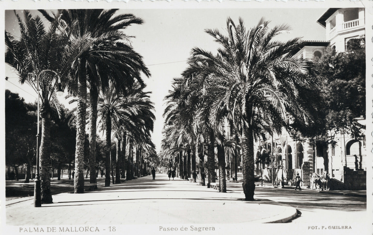 Paseo de Segrera, Palma de Mallorca