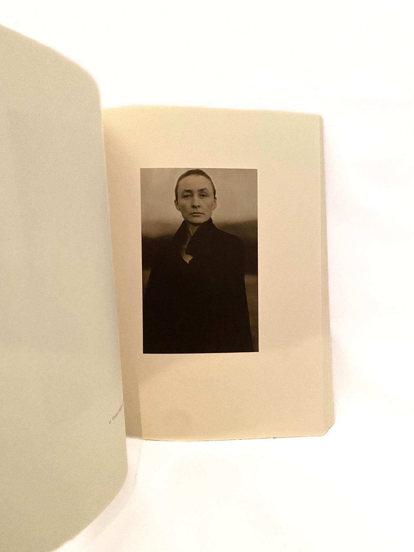 Alfred Stieglitz: Photographs & Writings, Greenough & Hamilton