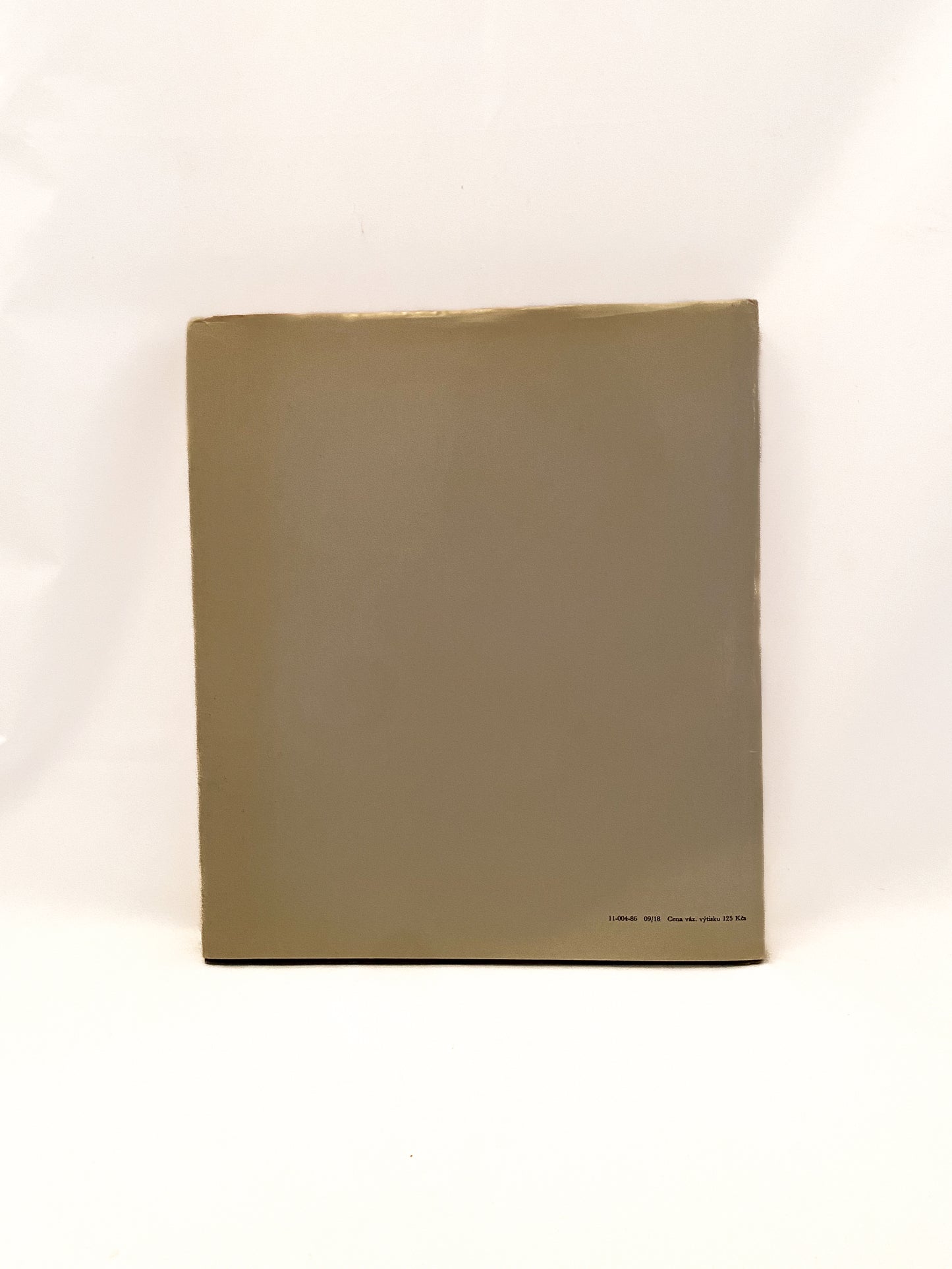 Josef Sudek, Kirschner