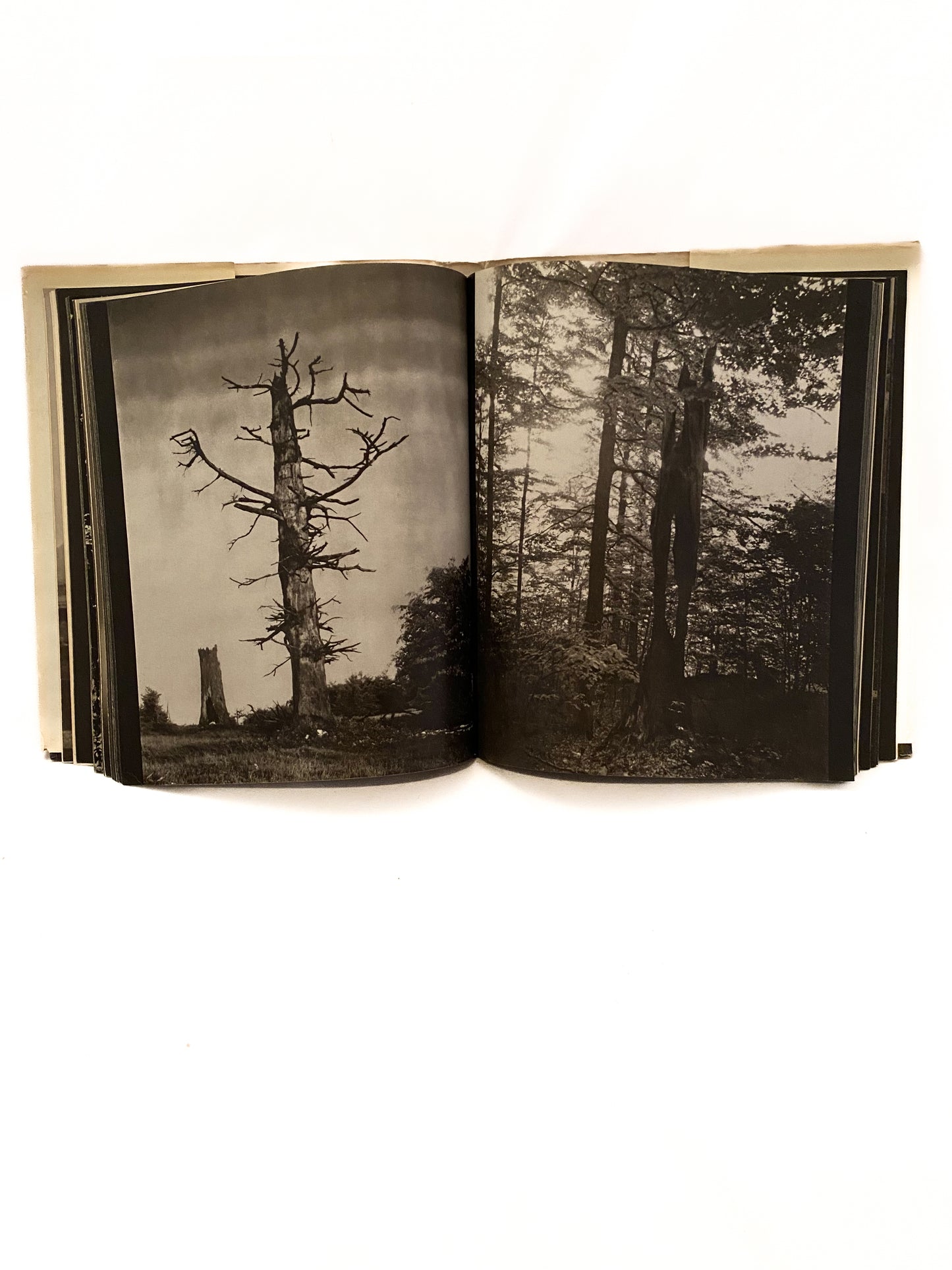 Josef Sudek, Kirschner