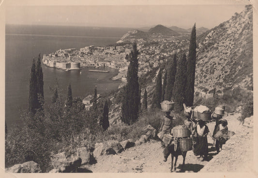 Transport, Dubrovnik