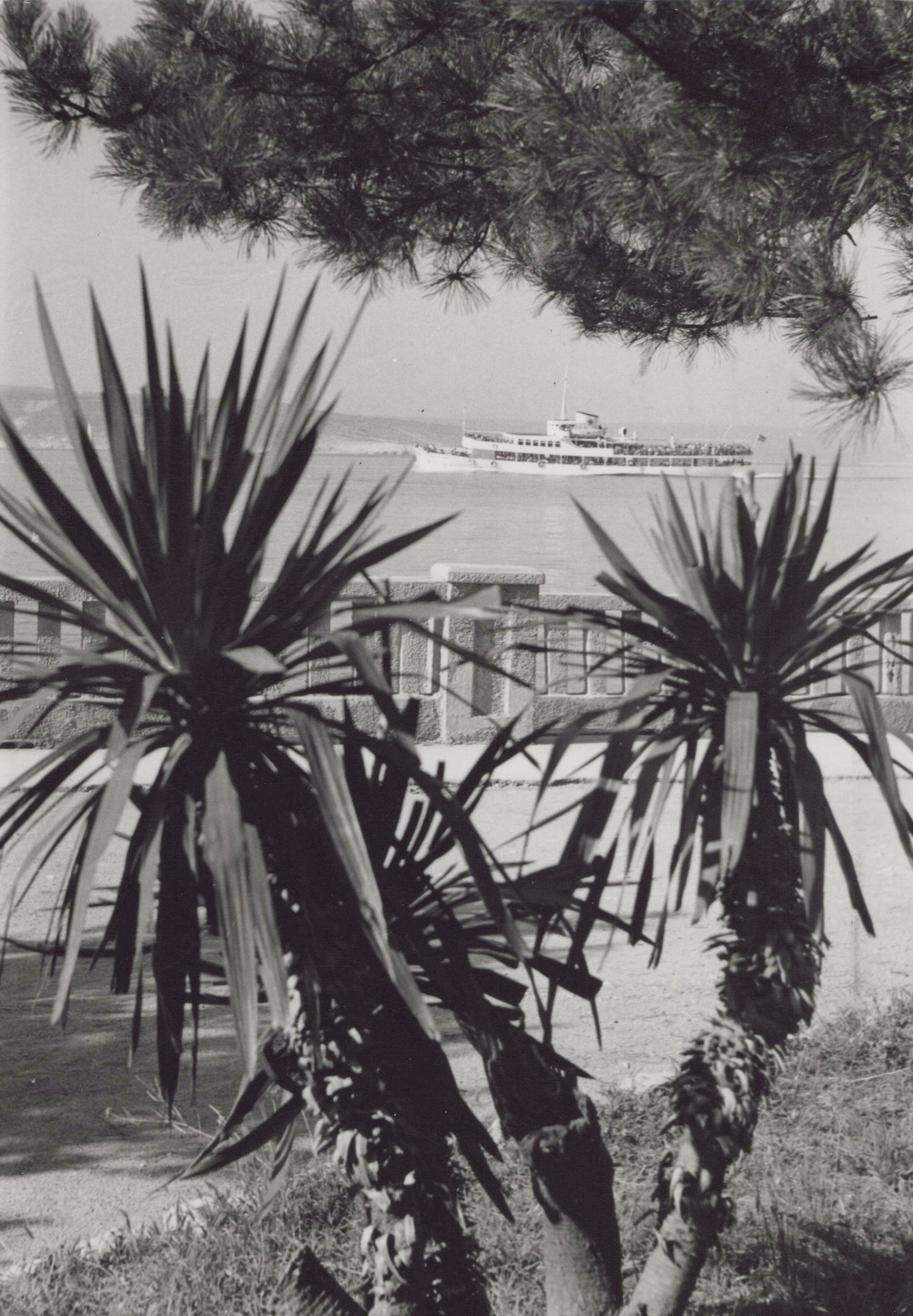 Ship I, Crikvenica