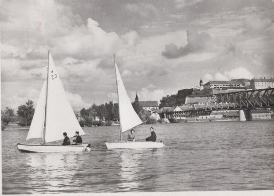 Danube, Novi Sad