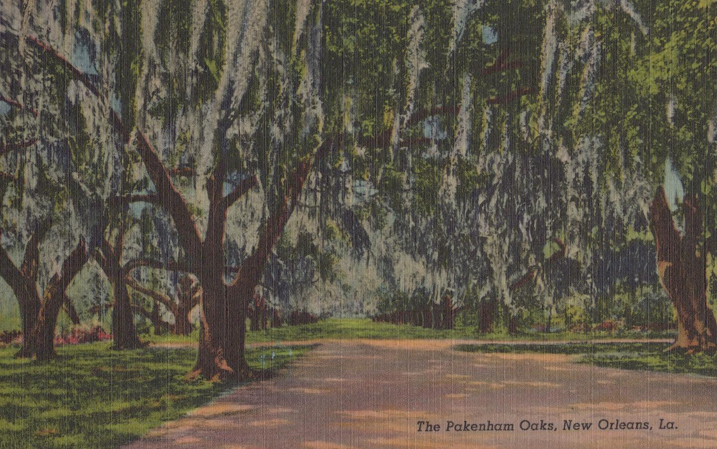 Pakenham Oaks, New Orleans