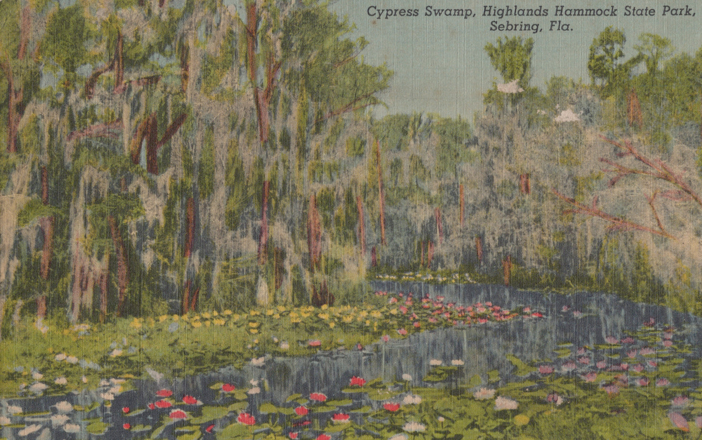 Cypress Swamp, Florida