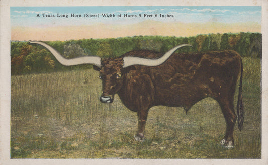 Longhorn, Texas