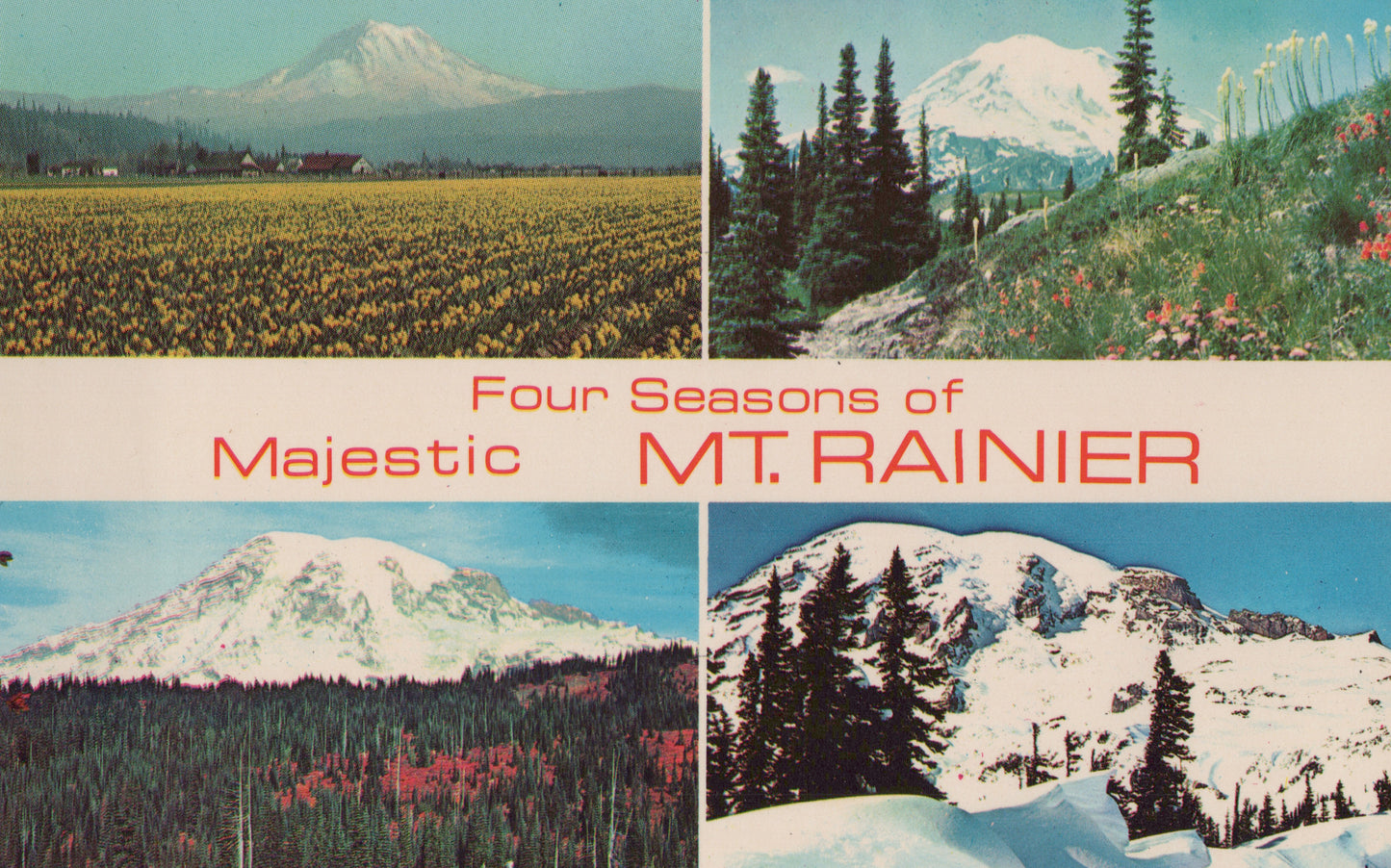 Four Seasons of Mount Rainier, Washington
