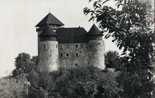 Dubovac Castle, Karlovac