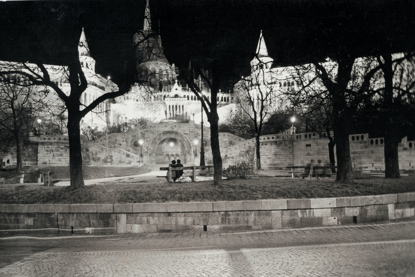 In the Company of the Fisherman's Bastion, Budapest, Hungary