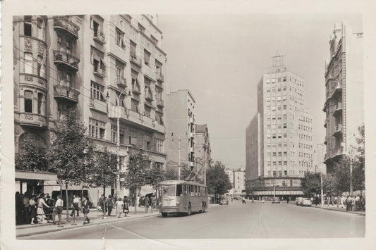 Palata Albanija I, Belgrade